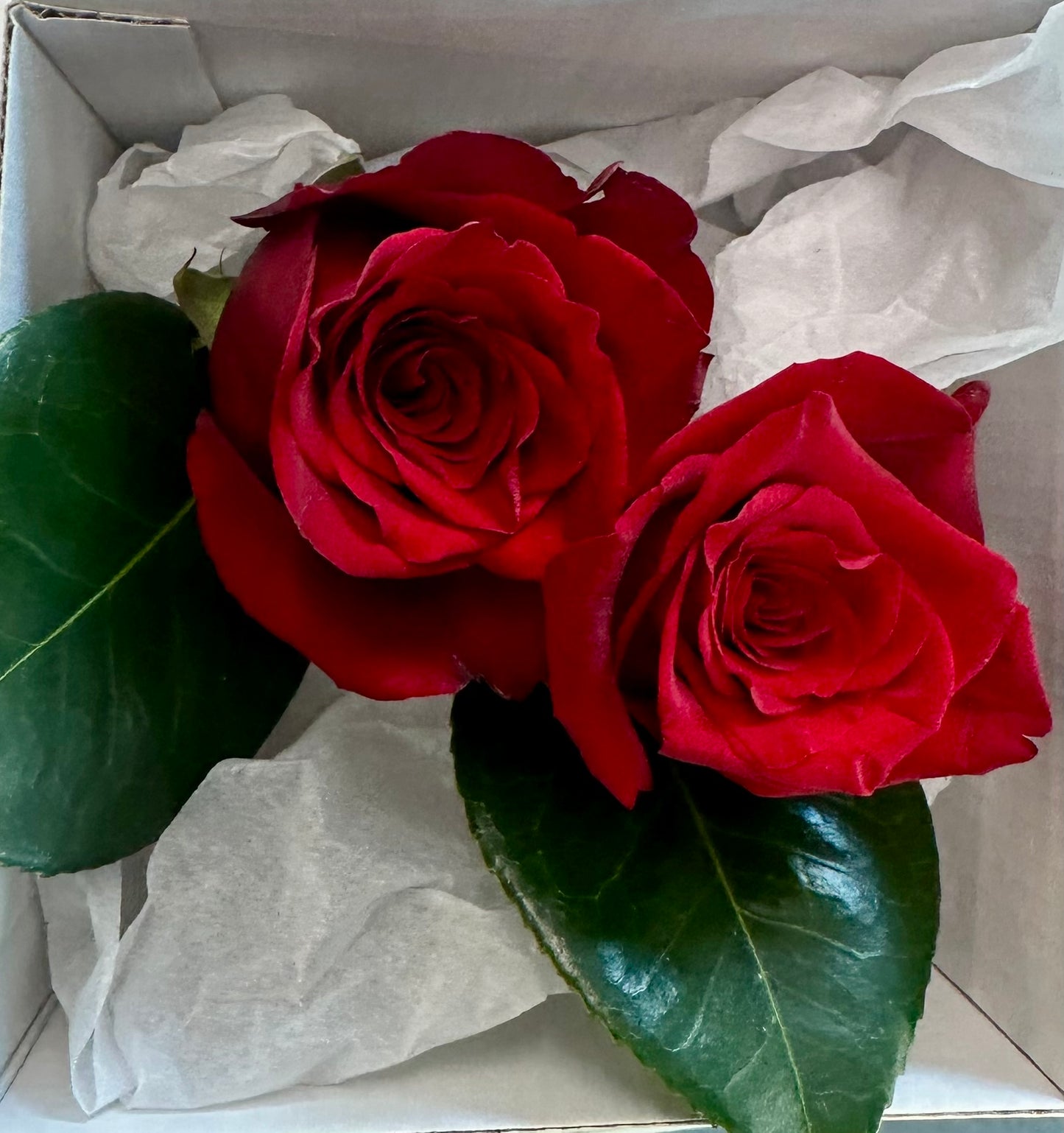 Cherry Sprout Corsage and Buttonhole