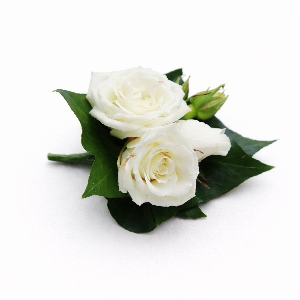 White Buttonhole (Boutonniere) - Seasonal Greenery