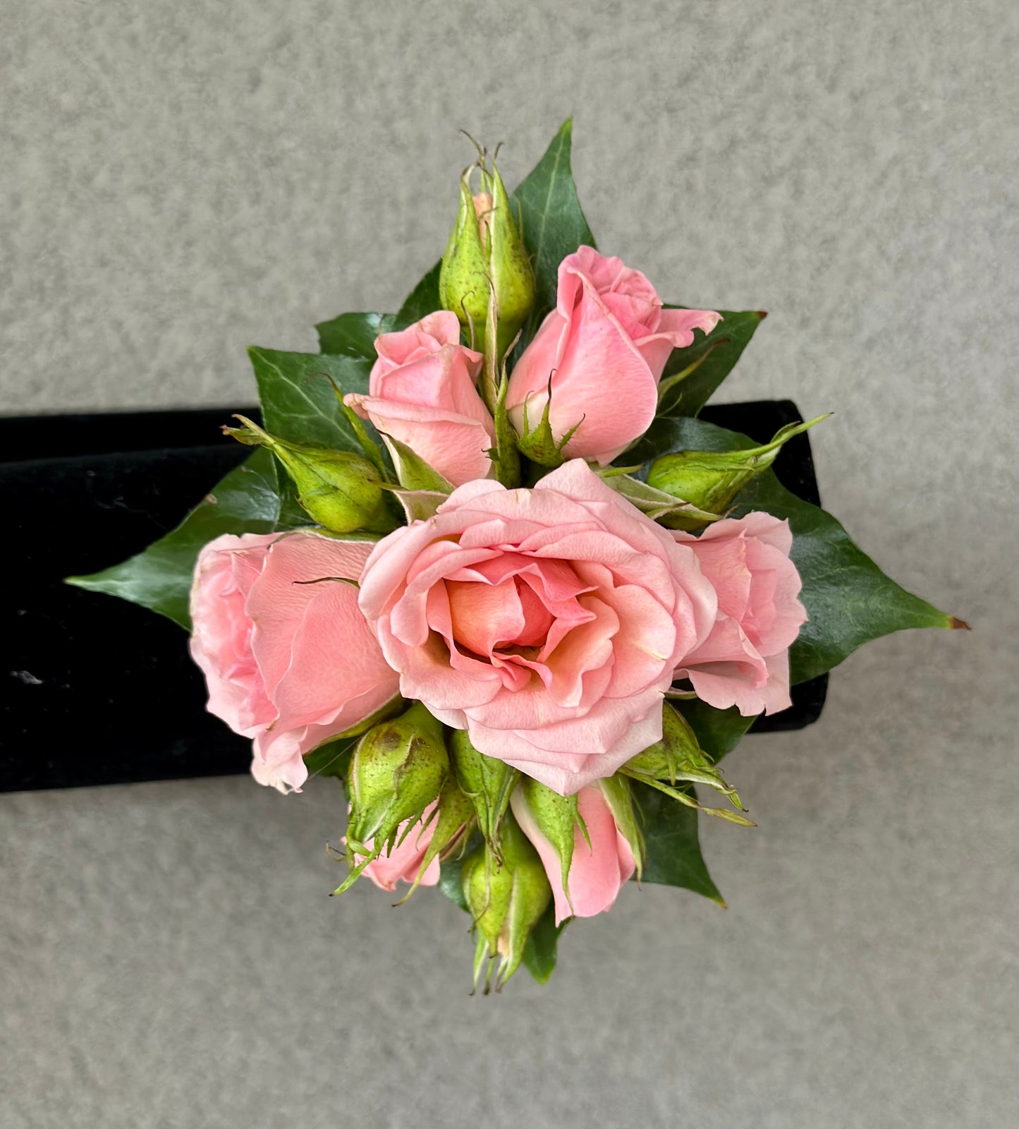 Blush Sprout Corsage