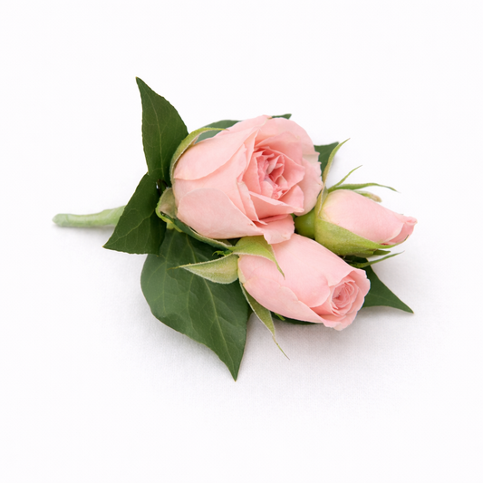 Pink Buttonhole (Boutonnière) - Seasonal Greenery