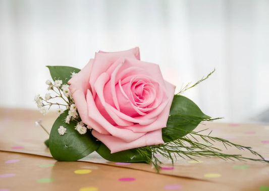Blush Puff Buttonhole